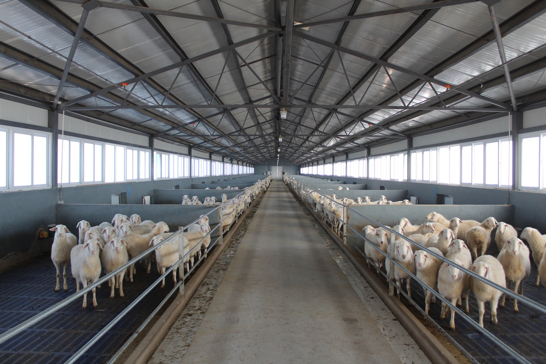 當好產(chǎn)業(yè)扶貧主力軍，打贏脫貧攻堅戰(zhàn)